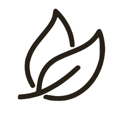 3_ingredientes naturales_home